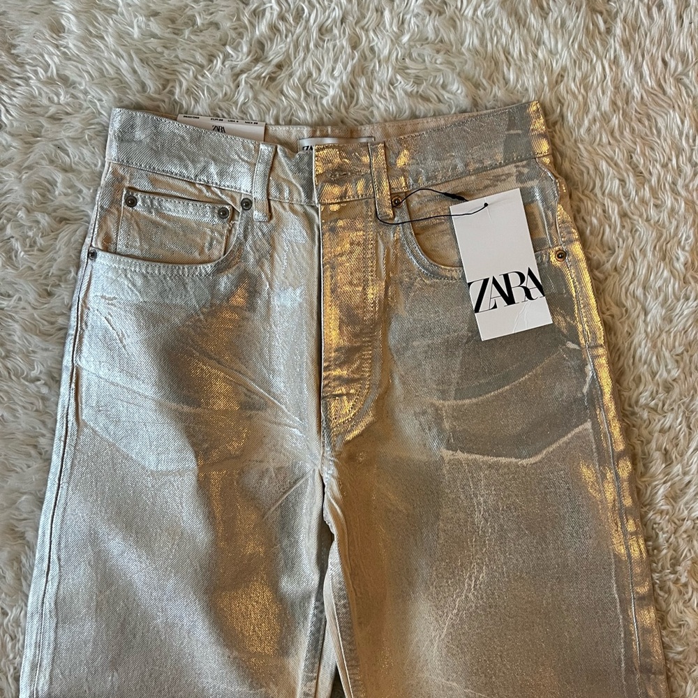 Zara metallic pants